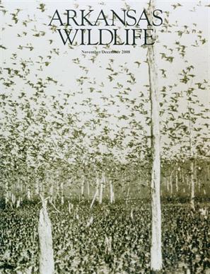 Arkansas Wildlife